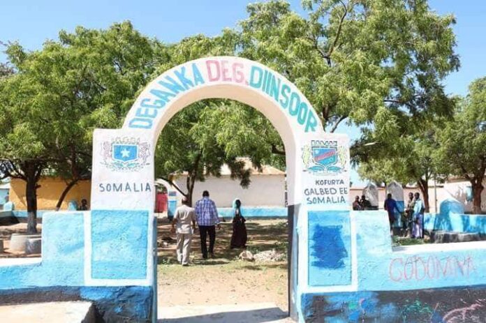 Diinsoor