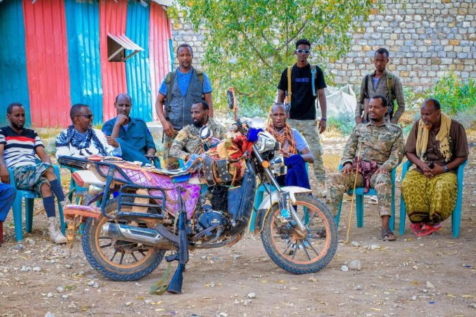 Al-shabaab