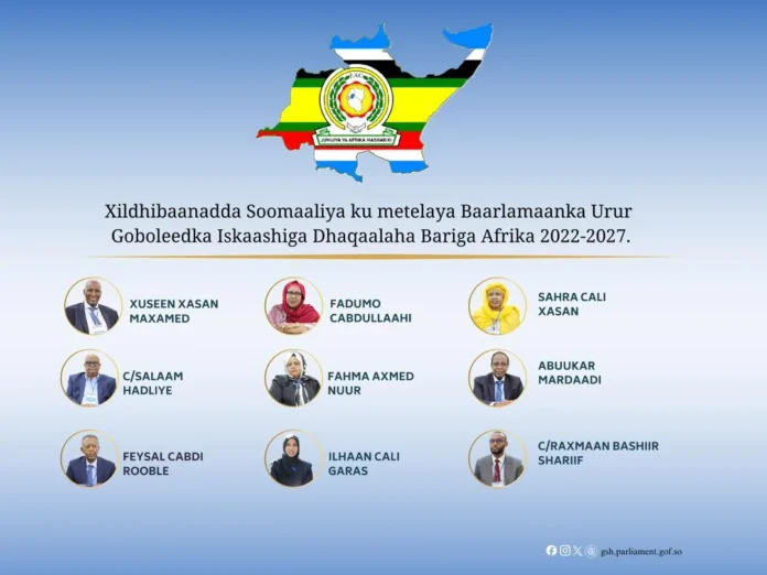Bulshada Bariga Afrika (EACJ)